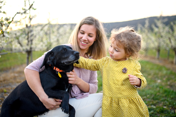 Front view of mother with small daughter and dog sitting outdoors in spring nature.