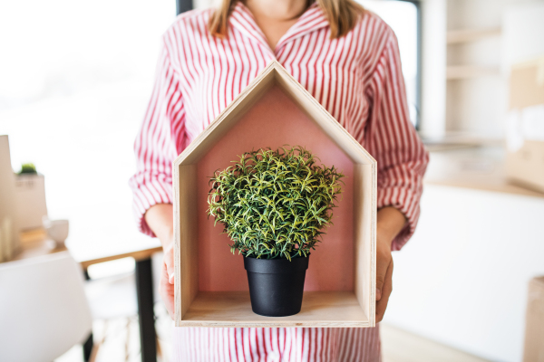 A midsection of woman with plant moving in new home, a concept. Copy space.