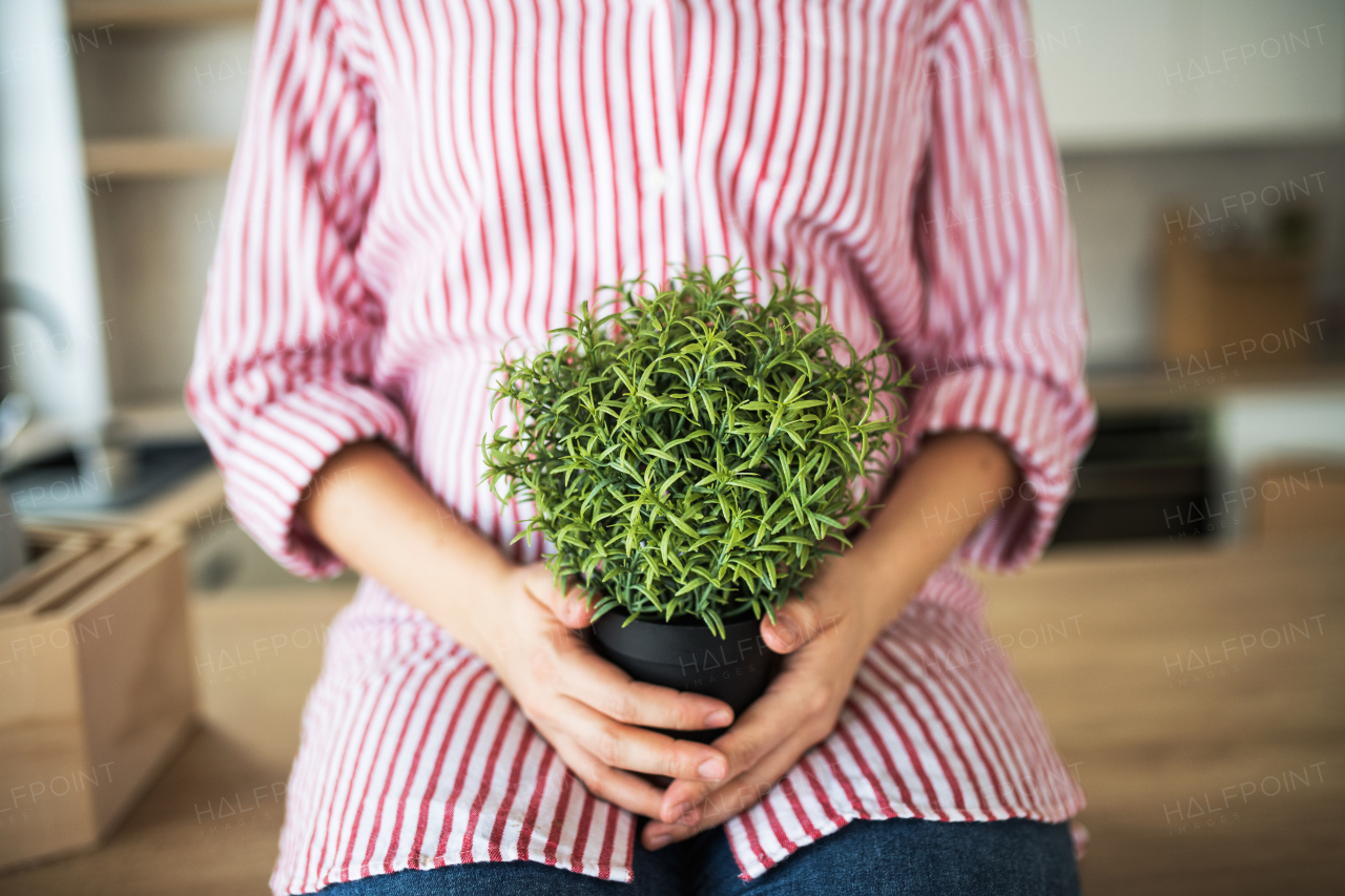 A midsection of young woman with plant moving in new home, sitting on kitchen counter.