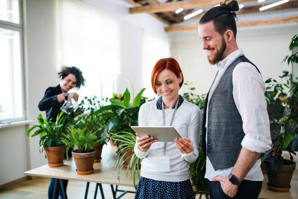 Two young businesspeople using a tablet in office, start-up concept.