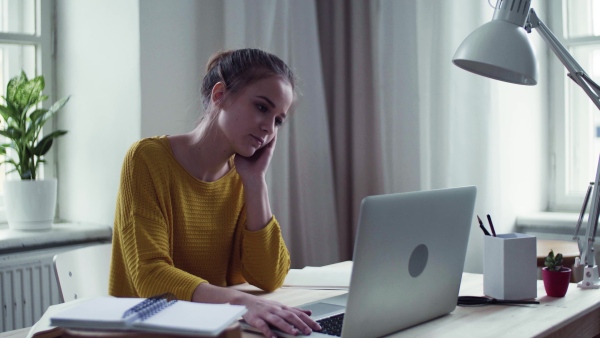 A young happy college female student sitting at the table at home, using laptop when studying.