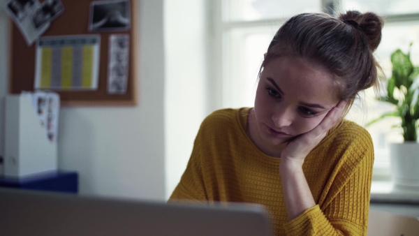 A young happy college female student sitting at the table at home, using laptop when studying.