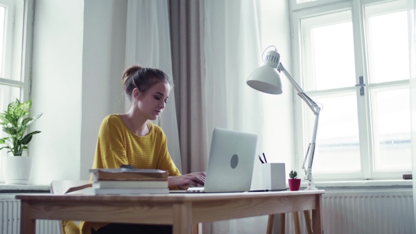 A young happy college female student sitting at the table at home, using laptop when studying.