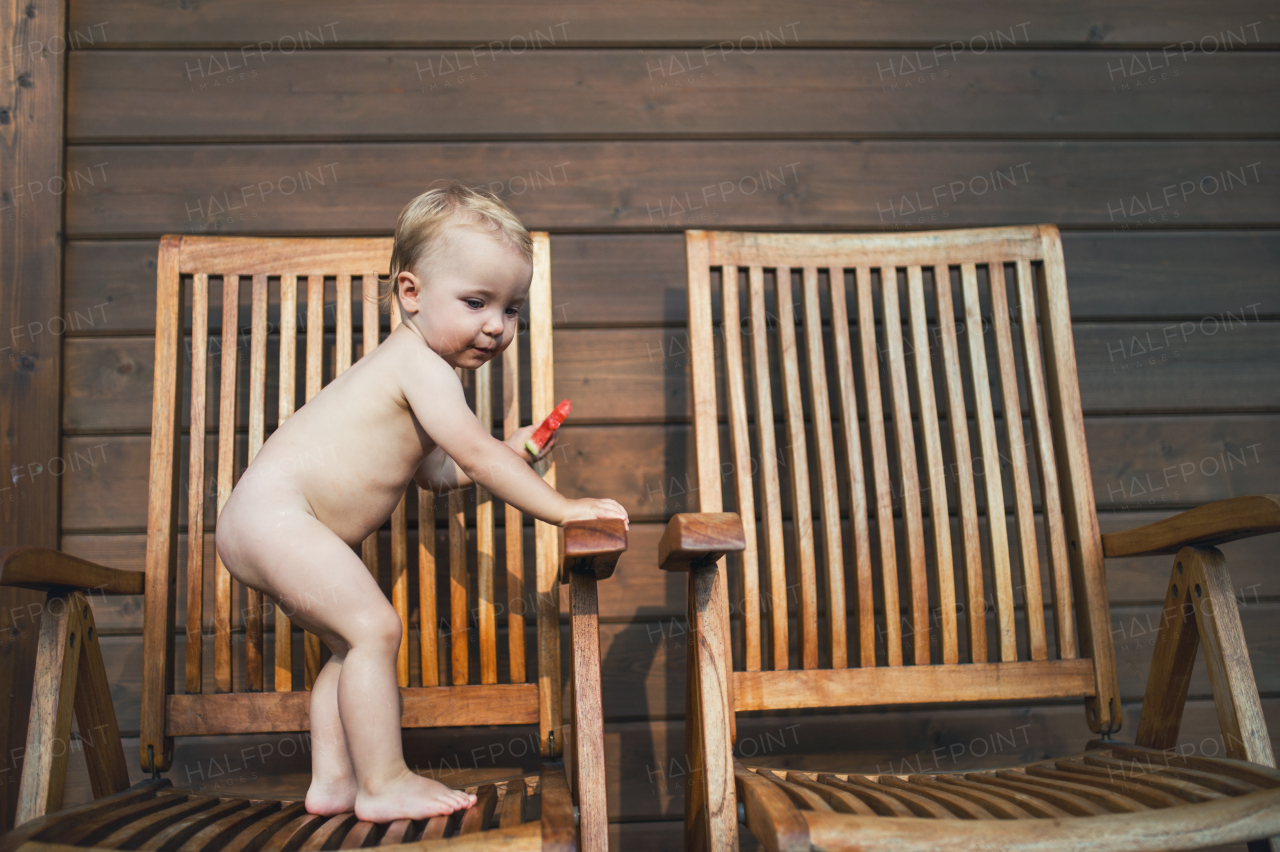 Small girl standing on wooden chair on a patio in summer, eating watermelon. Copy space.