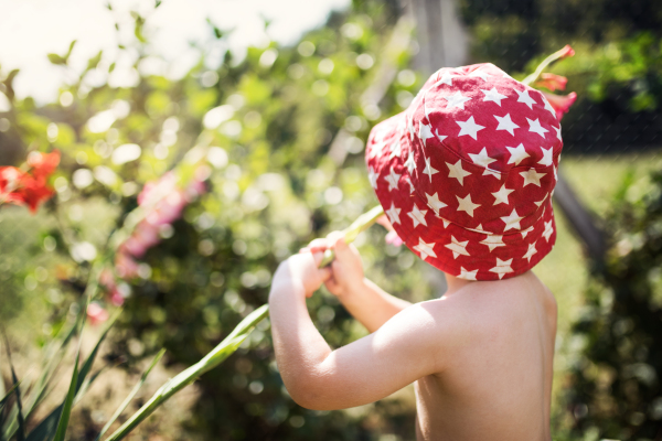 A rear view of small boy with a hat standing outdoors topless in garden in summer. Copy space.