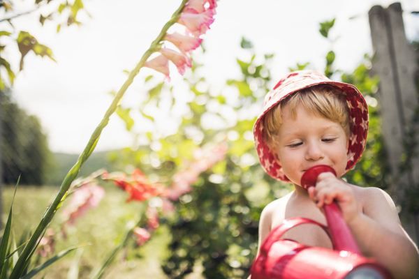 A small boy with a hat and watering can standing outdoors topless in garden in summer. Copy space.