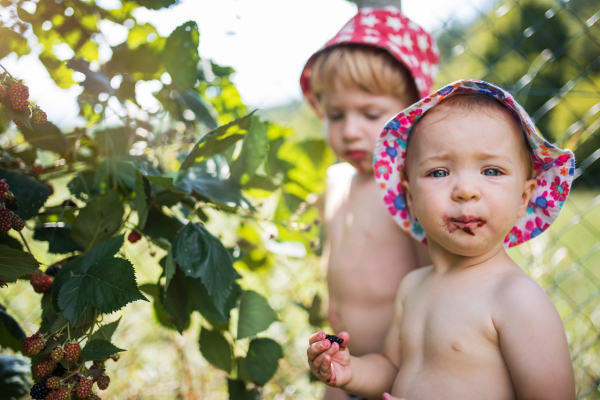 A small boy and girl with a hat standing outdoors topless in garden in summer, eating blackberries. Copy space.