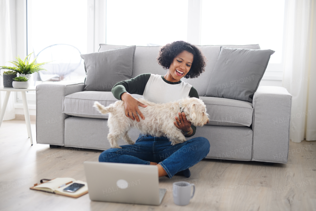 A portrait of happy mature woman with dog working on laptop, home office concept.