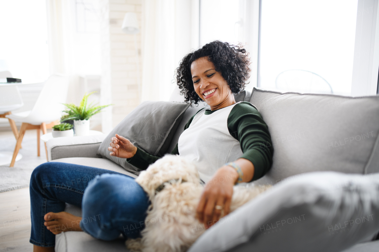 A portrait of happy mature woman sitting indoors at home, playing with dog.