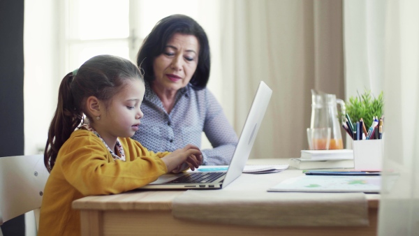 A happy small girl with grandmother sitting at table at home, using laptop.