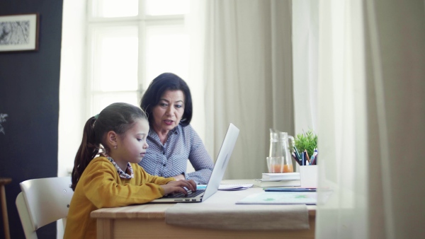 A happy small girl with grandmother sitting at table at home, using laptop.