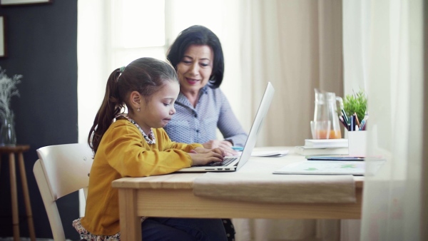 A happy small girl with grandmother sitting at table at home, using laptop. Slow motion.