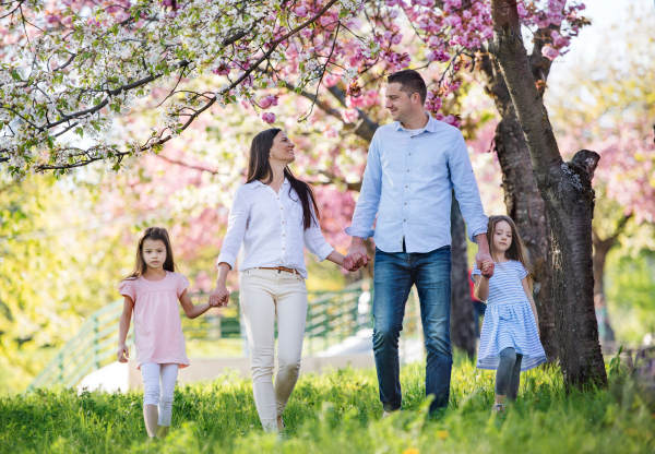 Front view of young parents with small daugthers walking outside in spring nature, holding hands.