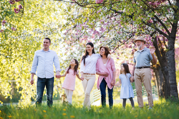 Three generation family walking outside in spring nature, holding hands.