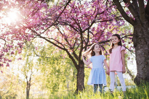 Two small girls standing outside in spring nature, talking. Copy space.