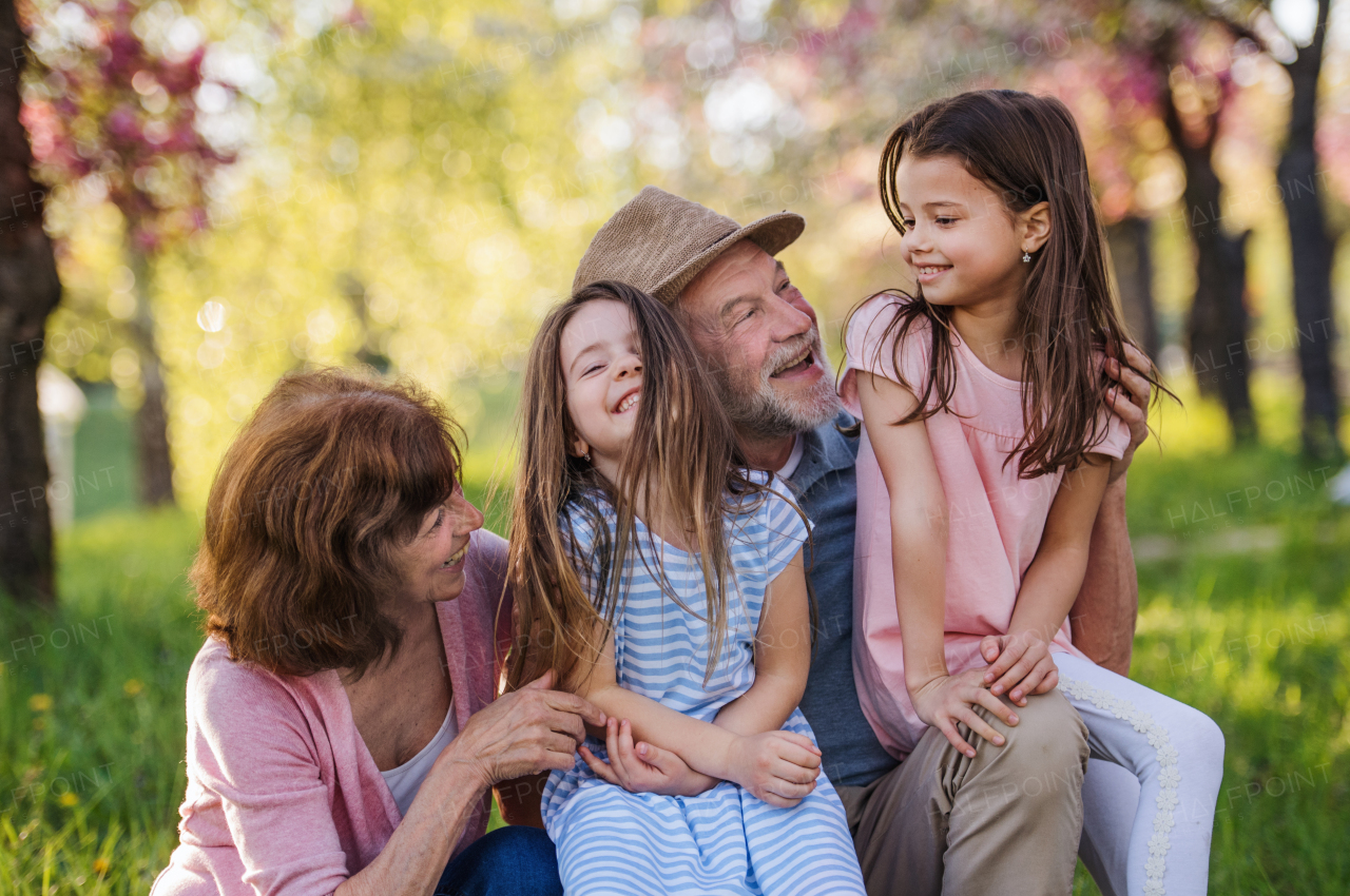 Front view of senior grandparents with small granddaugther sitting outside in spring nature.