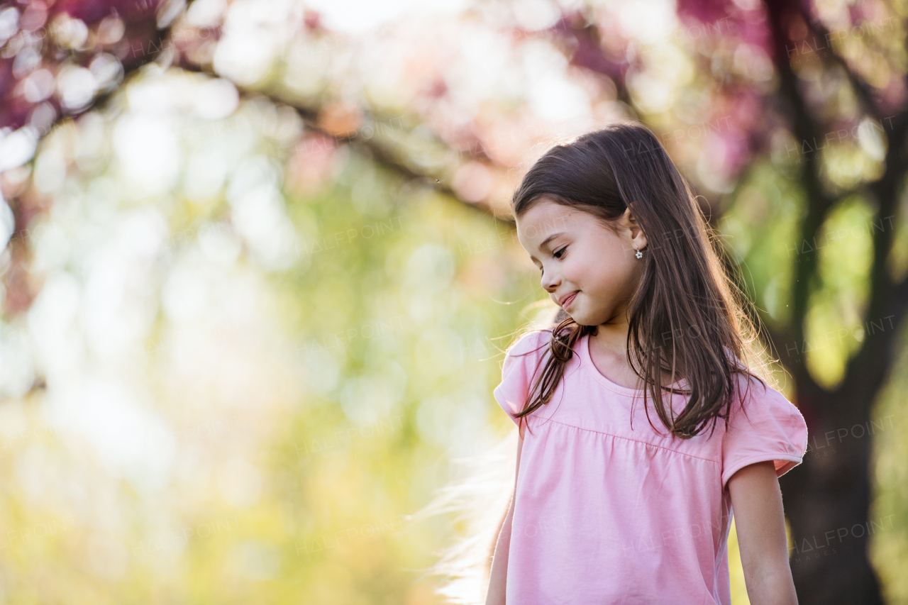 Small girl standing alone outside in spring nature. Copy space.