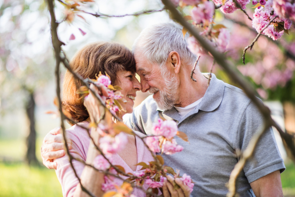 Beautiful senior couple in love on a walk outside in spring nature under blossoming trees, hugging.