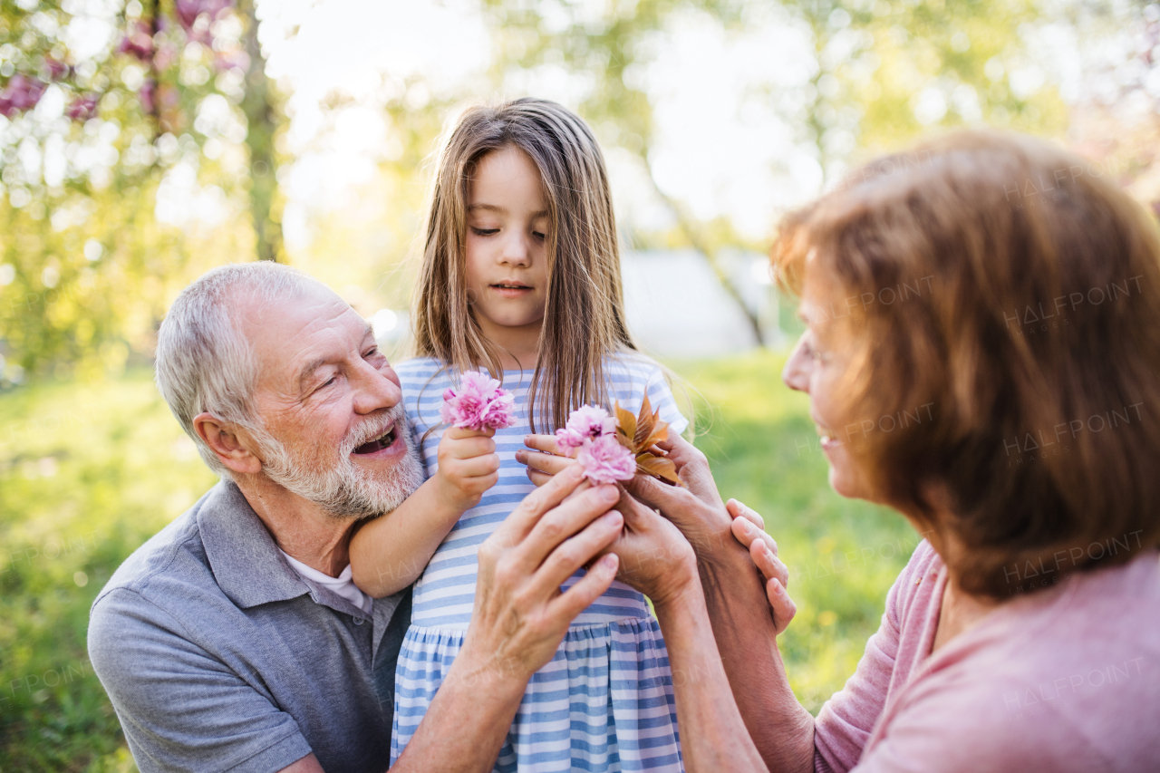 Front view of senior grandparents with small granddaugther sitting outside in spring nature.