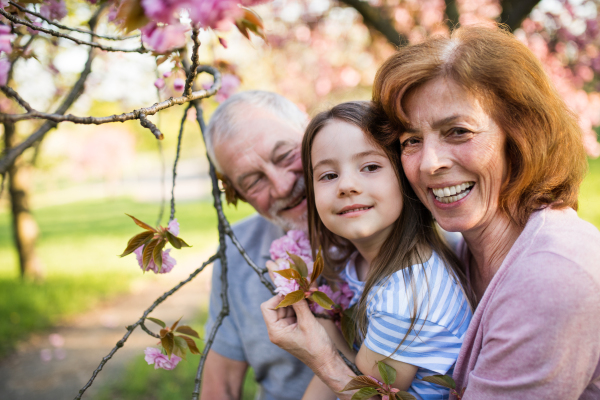 Front view of senior grandparents with small granddaugther sitting outside in spring nature.