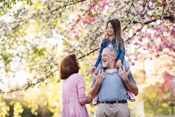 Front view of senior grandparents with small granddaugther standing outside in spring nature.