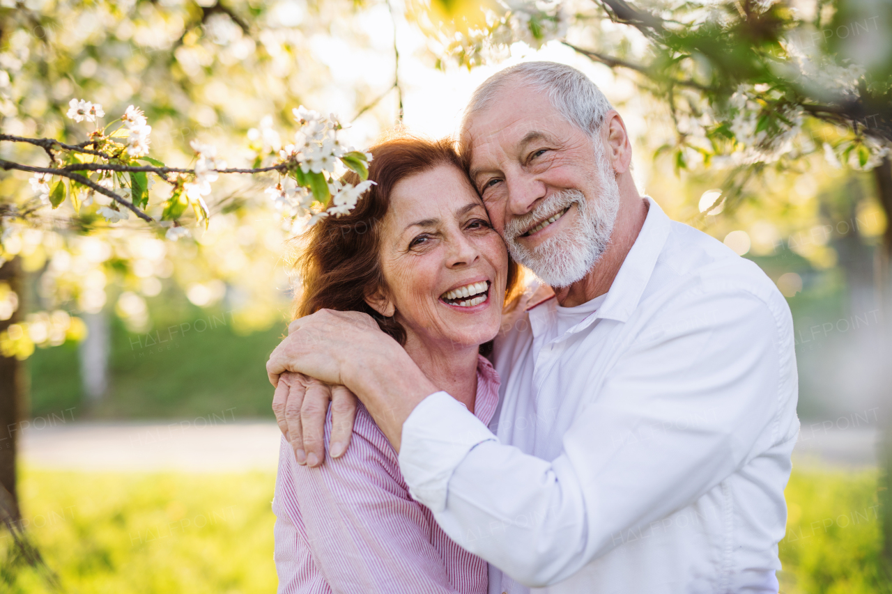 Beautiful senior couple in love on a walk outside in spring nature under blossoming trees, hugging.