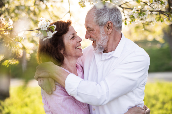 Beautiful senior couple in love on a walk outside in spring nature under blossoming trees, hugging.