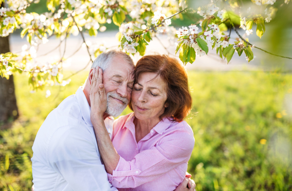 Beautiful senior couple in love on a walk outside in spring nature under blossoming trees, hugging.