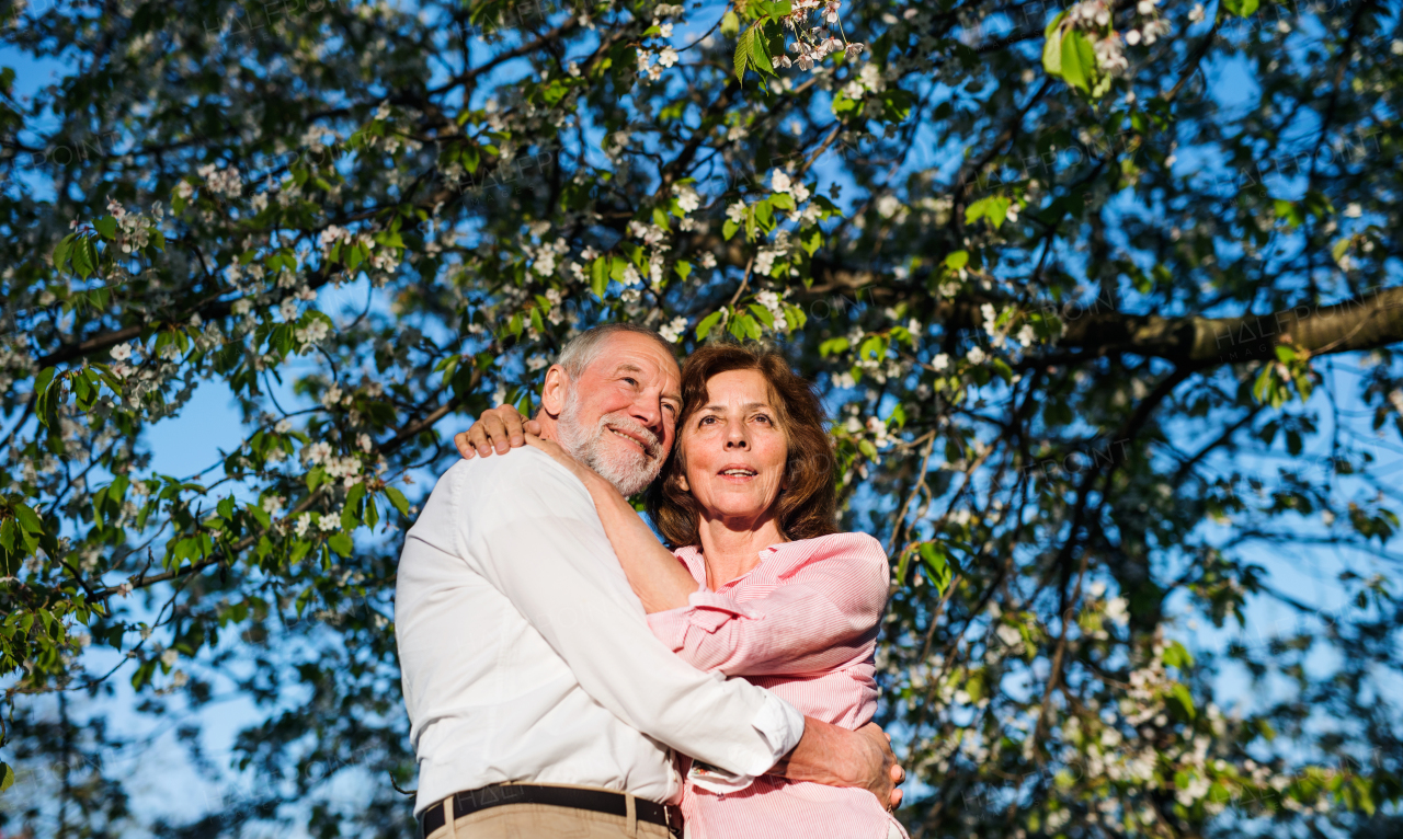 Front view of beautiful senior couple in love outside in spring nature at dusk, hugging.