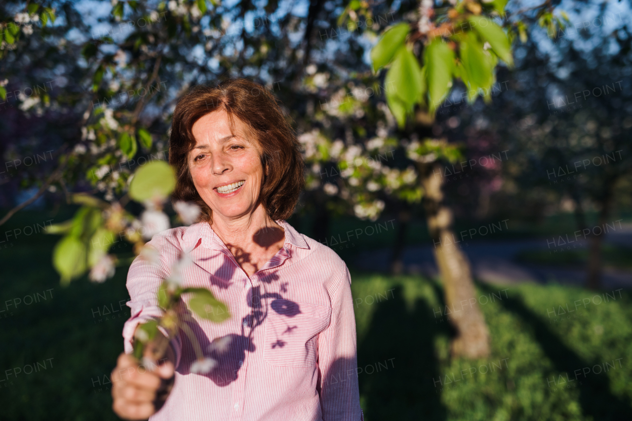 Front view of beautiful senior woman standing outside in spring nature. Copy space.