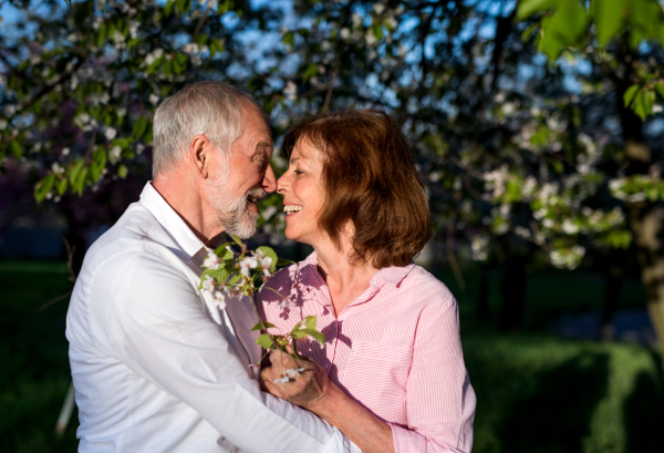 Beautiful senior couple in love on a walk outside in spring nature under blossoming trees, hugging.