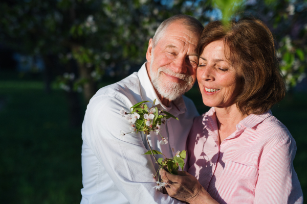 Beautiful senior couple in love on a walk outside in spring nature under blossoming trees, hugging.