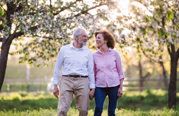 Beautiful senior couple in love on a walk outside in spring nature under blossoming trees, walking.