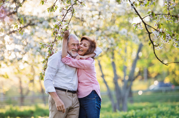 Beautiful senior couple in love on a walk outside in spring nature under blossoming trees, hugging.