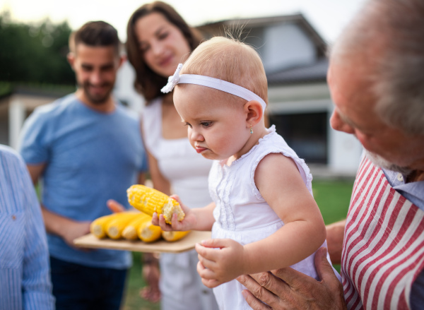 Portrait of multigeneration family outdoors on garden barbecue, grilling and talking.