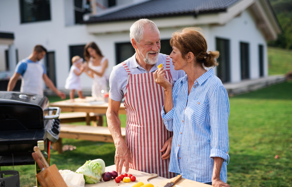 Portrait of multigeneration family outdoors on garden barbecue, grilling and talking.