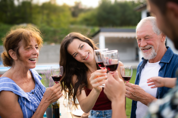 Portrait of people with wine outdoors on family garden barbecue, clinking glasses.