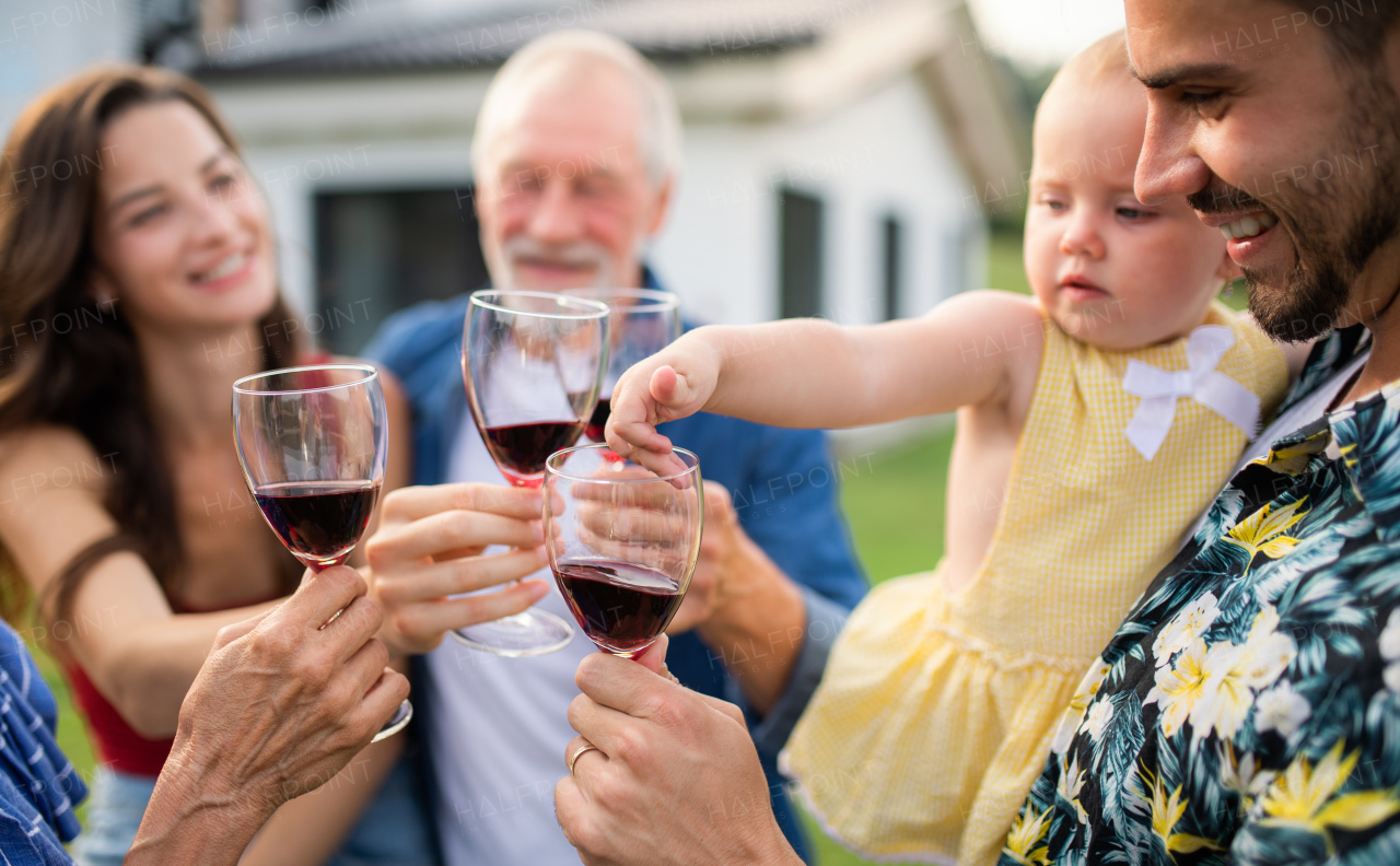 Portrait of people with wine outdoors on family garden barbecue, drinking wine.