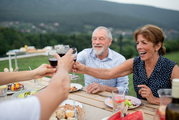 Portrait of people with wine outdoors on family garden barbecue, clinking glasses.