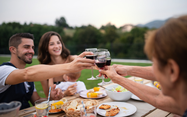 Portrait of people with wine outdoors on family garden barbecue, clinking glasses.