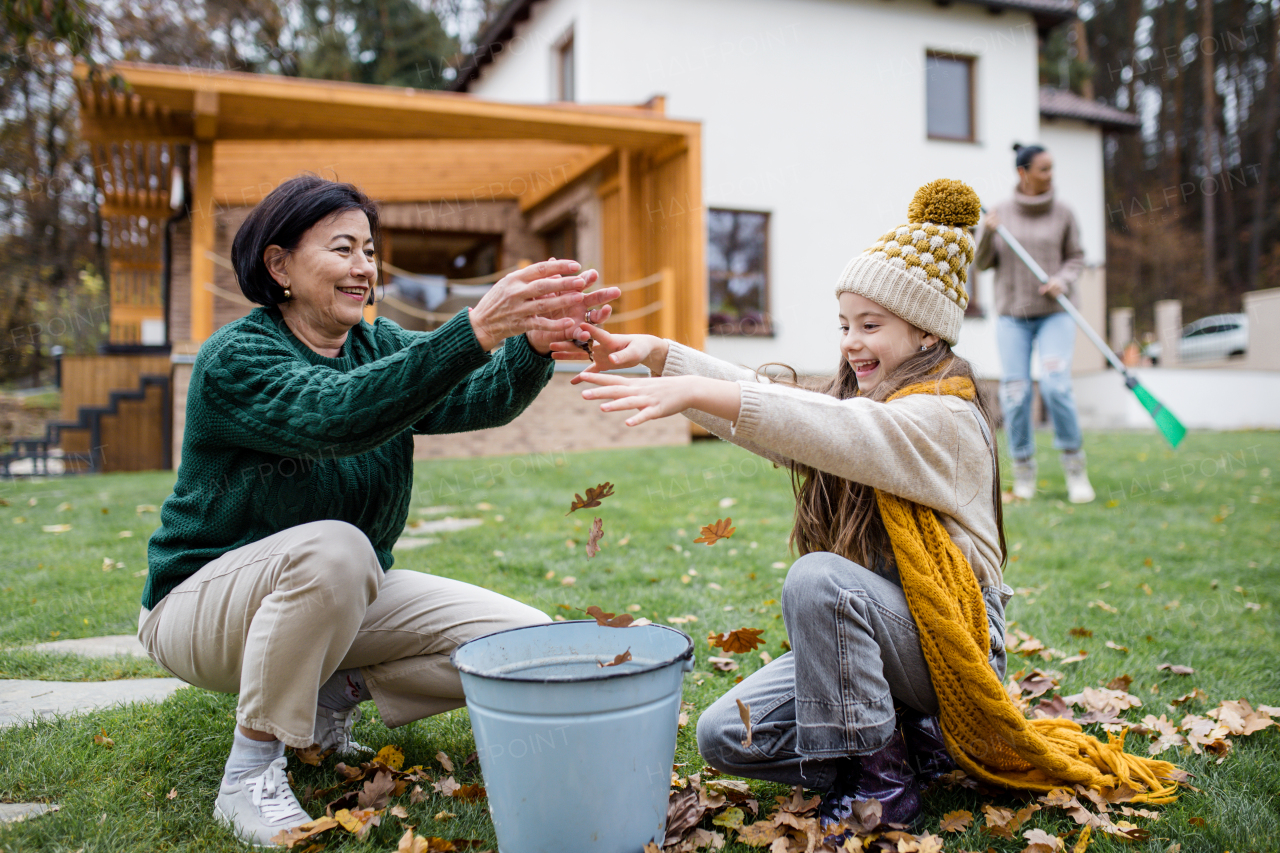 A happy little girl with grandmother picking up leaves and putting them in bucket in garden in autumn