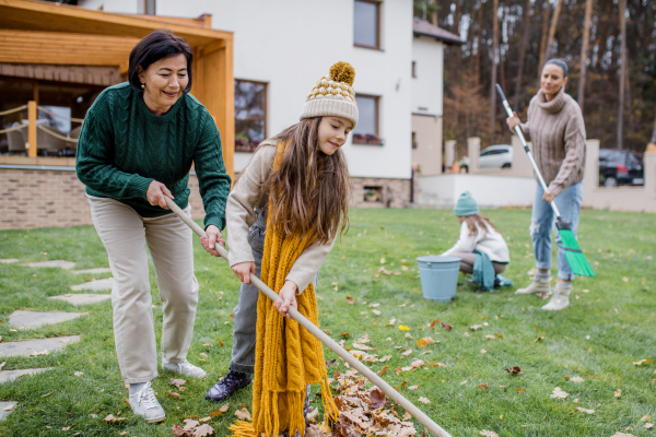 Happy little girls with a grandmother and mother picking up leaves and putting them in bucket in garden in autumn