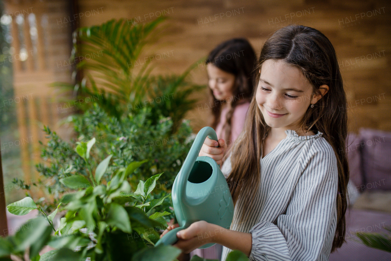 Happy little sisters watering plants indoors in a conservatory.