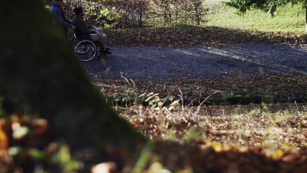 A senior father and his son in wheelchair on a walk in nature, talking.