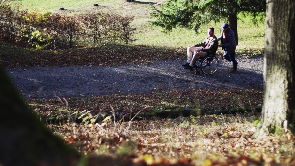 A senior father and his son in wheelchair on a walk in nature, talking.