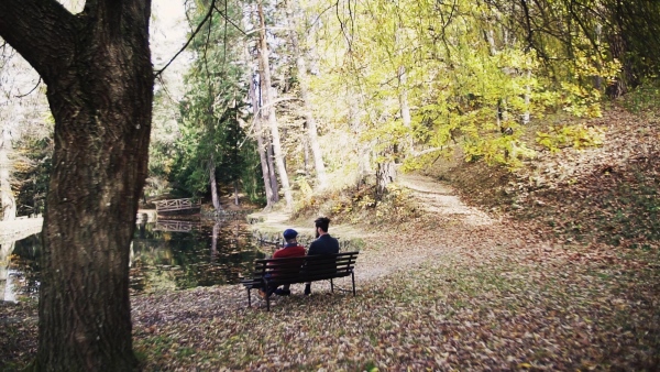 Rear view of senior father and his young son sitting on bench in nature, talking. Slow motion.