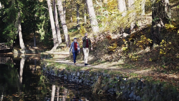 Top view of senior father and his son walking arm in arm by lake in nature, talking. Slow motion.