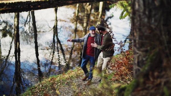 Top view of senior father and his son walking arm in arm by lake in nature, talking. Slow motion.