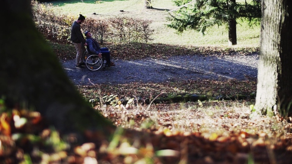 A senior father and his son in wheelchair on a walk in nature, talking. Slow motion.