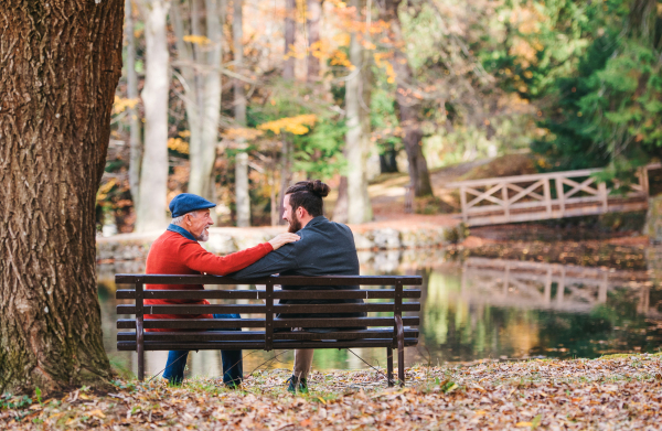 A rear view of senior father and his son sitting on bench by lake in nature, talking.